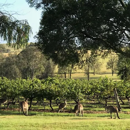 Kinloch Cottage Renovated To New On Daisy Hill Vineyard Pokolbin Exterior photo