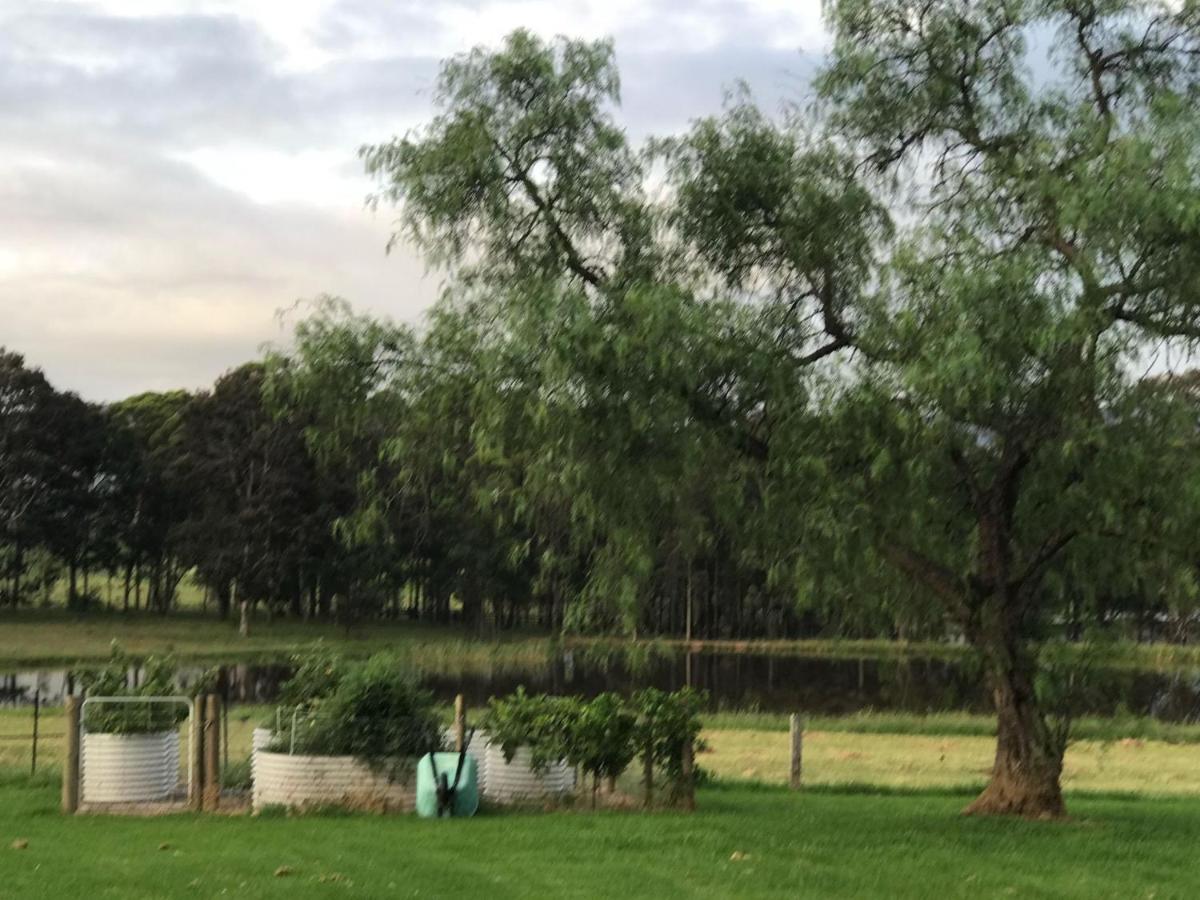 Farm stay Kinloch Renovated To New On Daisy Hill Vineyard Pokolbin