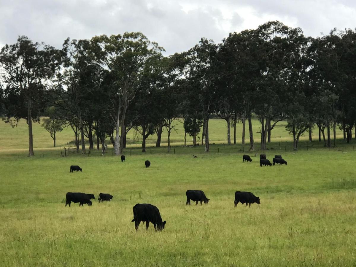 Kinloch Renovated To New On Daisy Hill Vineyard Farm stay *