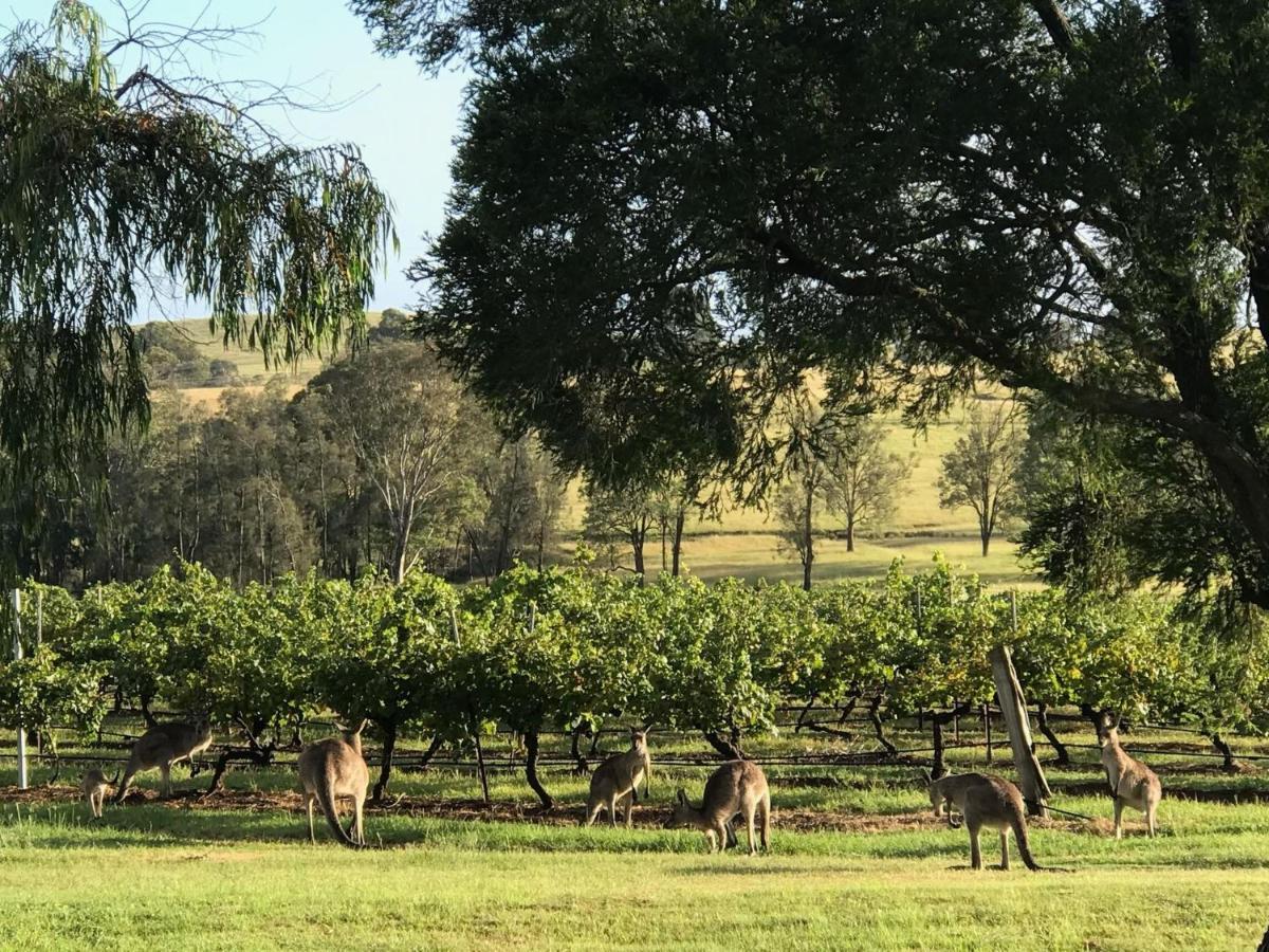 Kinloch Renovated To New On Daisy Hill Vineyard